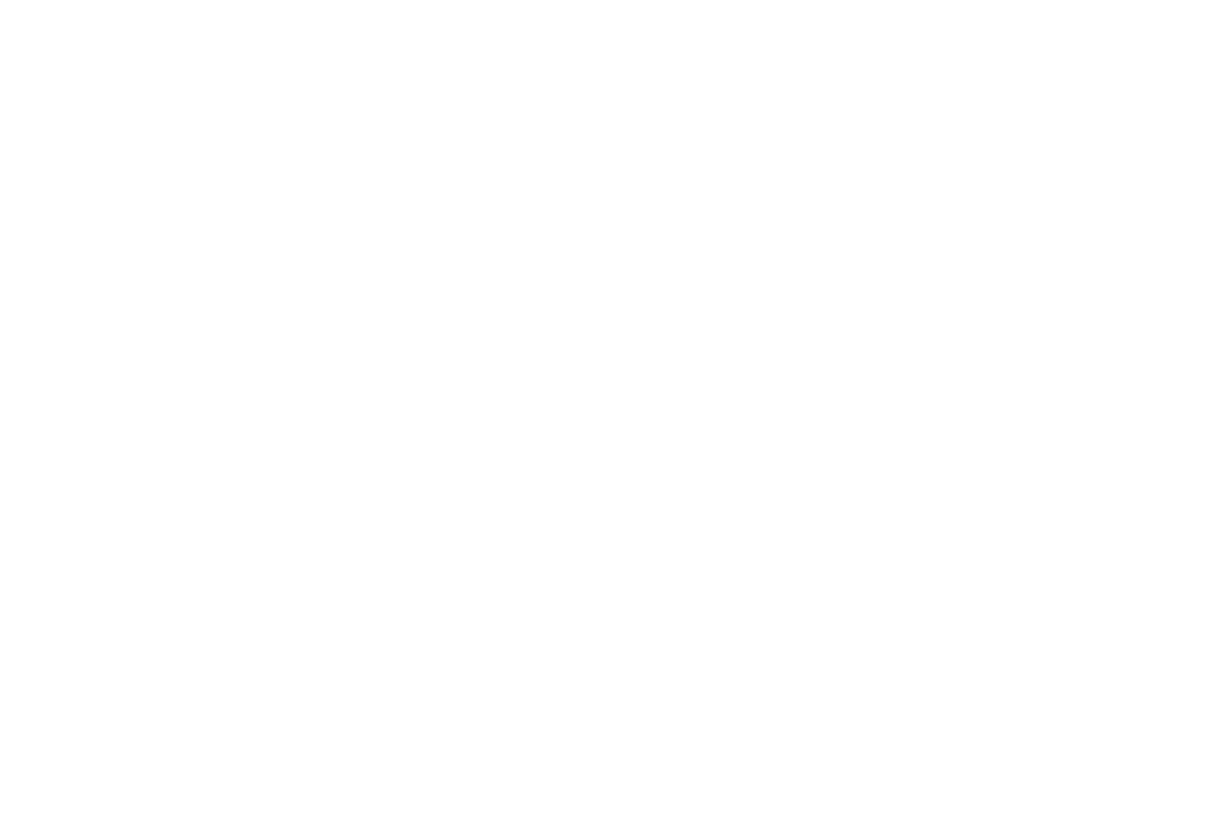 PANAVISION New Filmmaker Grant - 2016